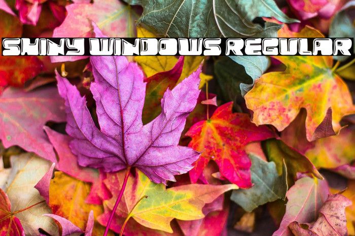 Shiny Windows Regular Example 3