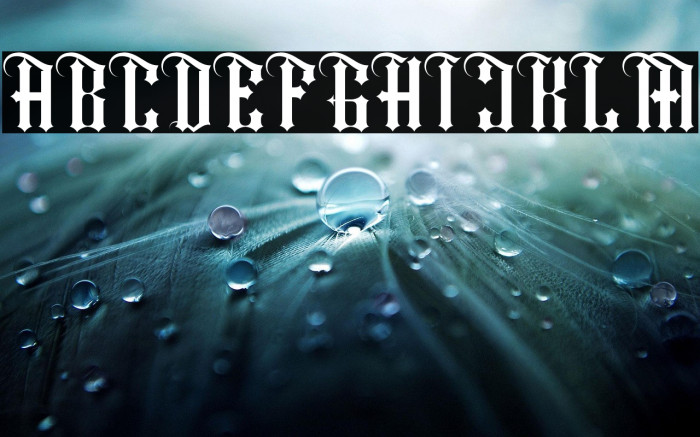 Shiny kage Regular Example 1