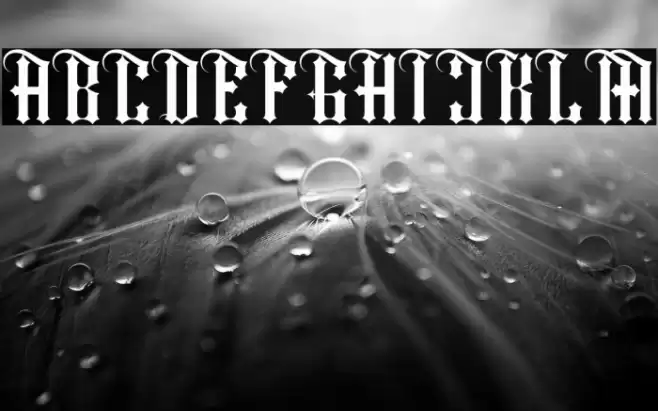 Shiny kage Regular Font examples