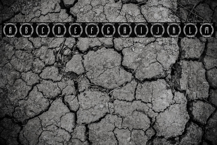 Shion Chinese Monogram Example 3