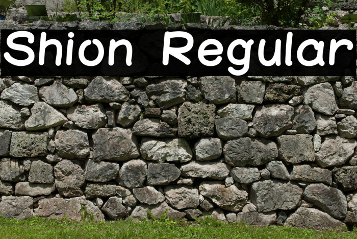 Shion Regular Example 1