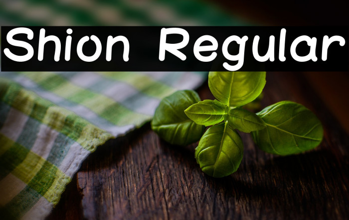 Shion Regular Example 3