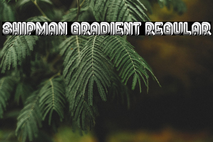 Shipman Gradient Regular Example 3