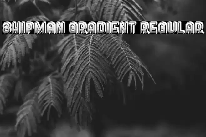 Shipman Gradient Regular Font examples