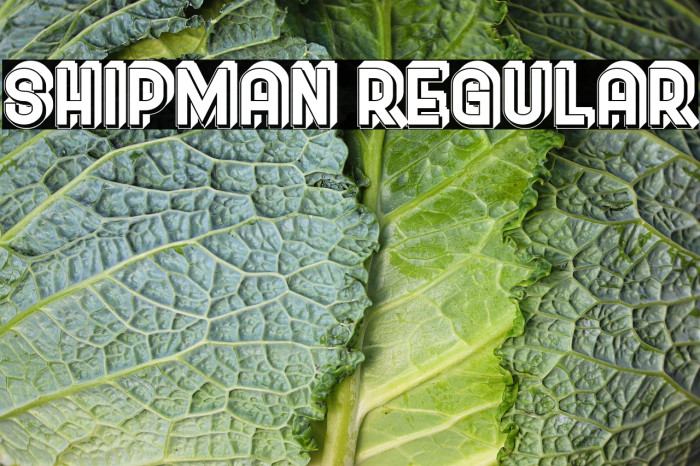 Shipman Regular Example 2