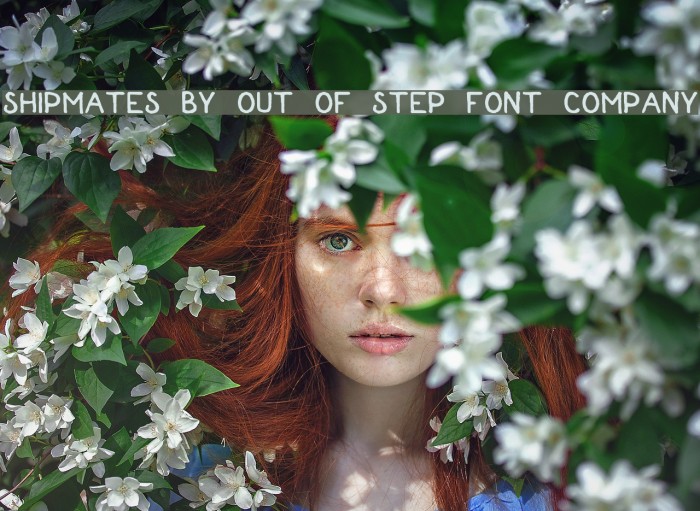 Shipmates by Out Of Step Font Company Font examples