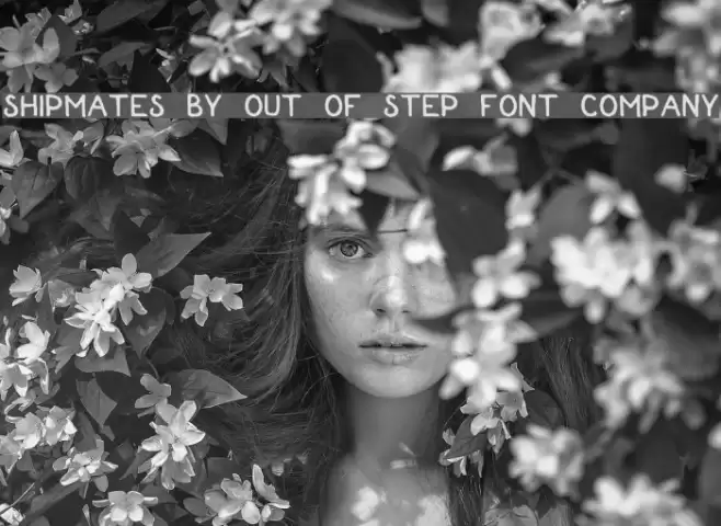 Shipmates by Out Of Step Font Company フォント examples