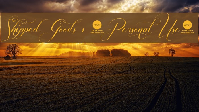 Shipped Goods 1 [Personal Use] Example 1