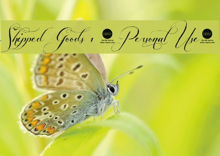 Shipped Goods 1 [Personal Use] Example 2