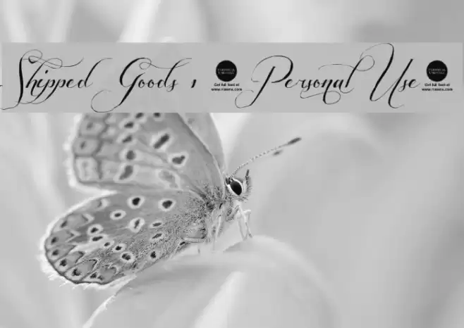 Shipped Goods 1 [Personal Use] Font examples