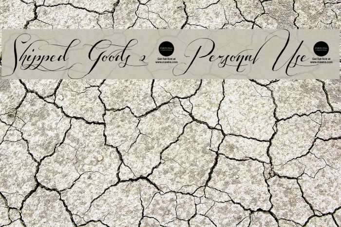 Shipped Goods 2 [Personal Use] Example 2