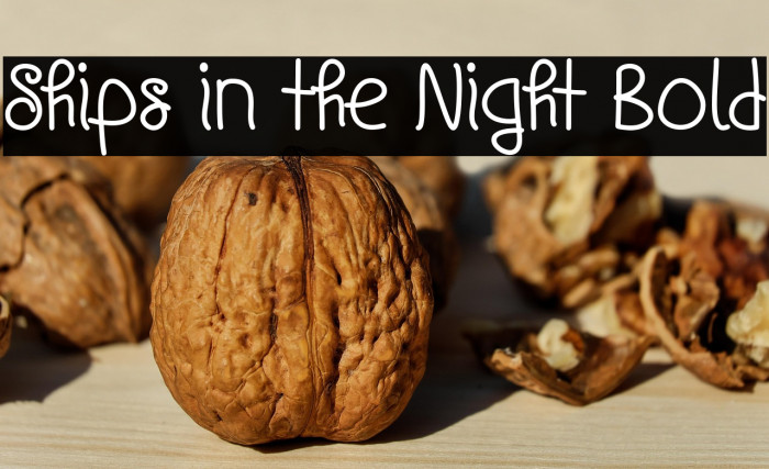 Ships in the Night Bold Example 2