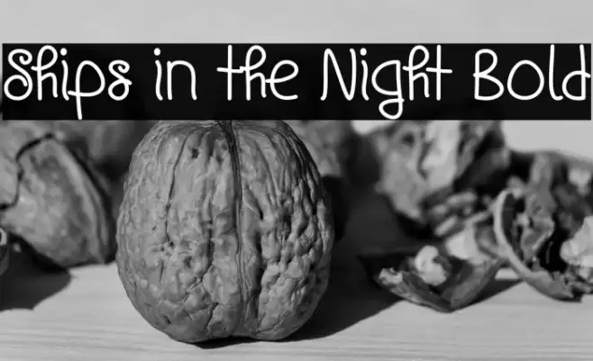 Ships in the Night Bold Font examples