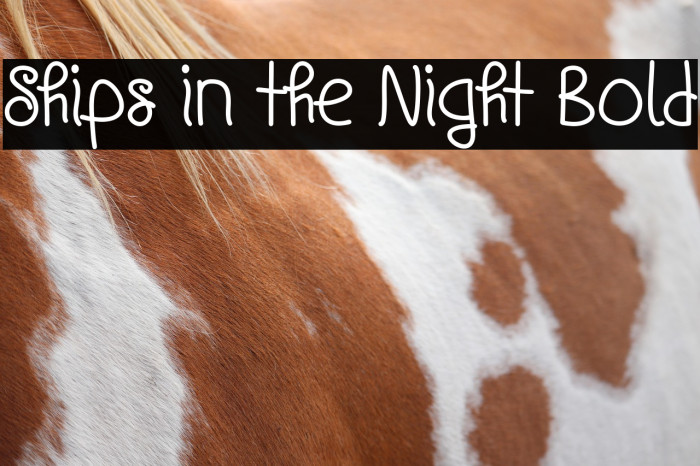 Ships in the Night Bold Example 3