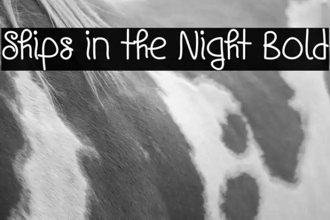 Ships in the Night Bold Font examples