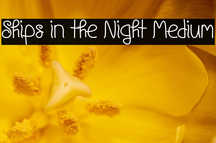 Ships in the Night Medium Example 1