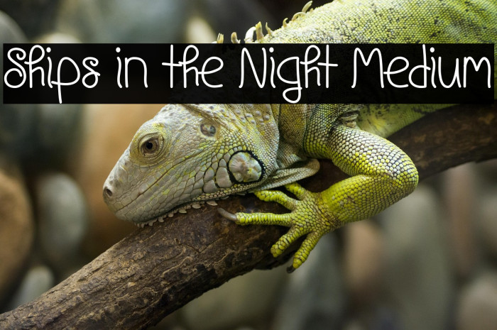 Ships in the Night Medium Example 2