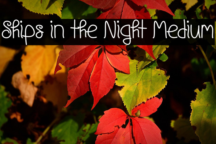 Ships in the Night Medium Example 3