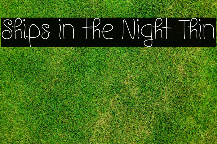 Ships in the Night Thin Example 2