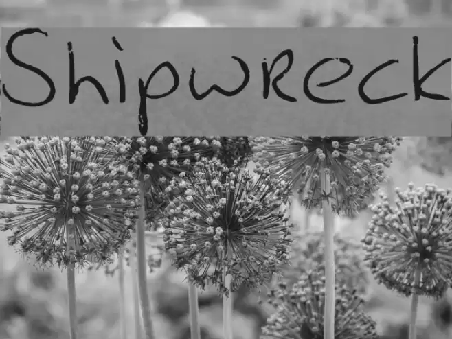 Shipwreck Font examples