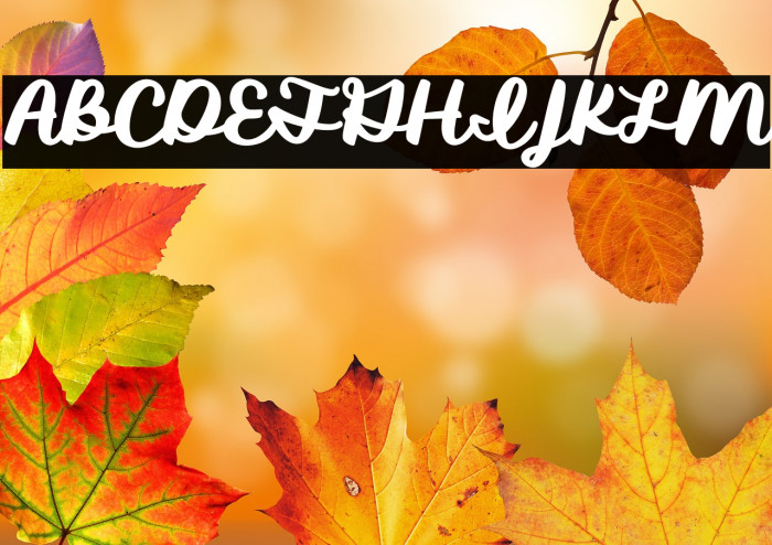 Shirebourn Demo Example 1