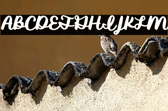 Shirebourn Demo Example 2