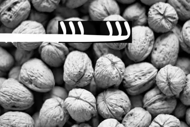 Shirebourn Swashes Font examples