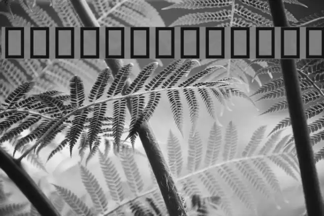 Shirin Font examples