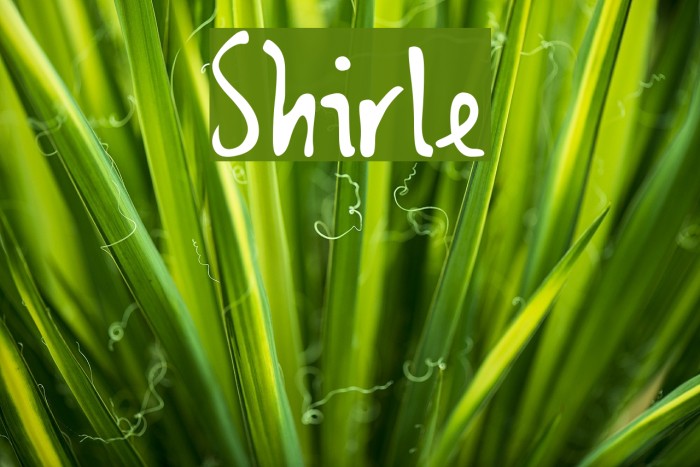 Shirley Font examples