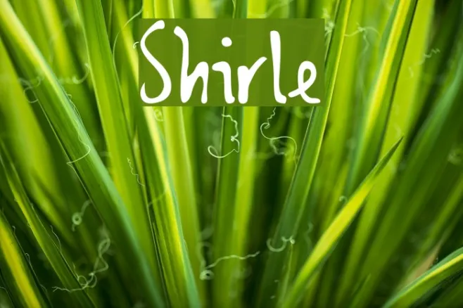 Shirley Example 3