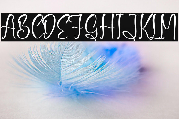 Shirlley Gilberta Example 1