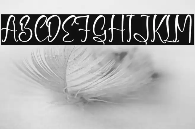 Shirlley Gilberta Font examples