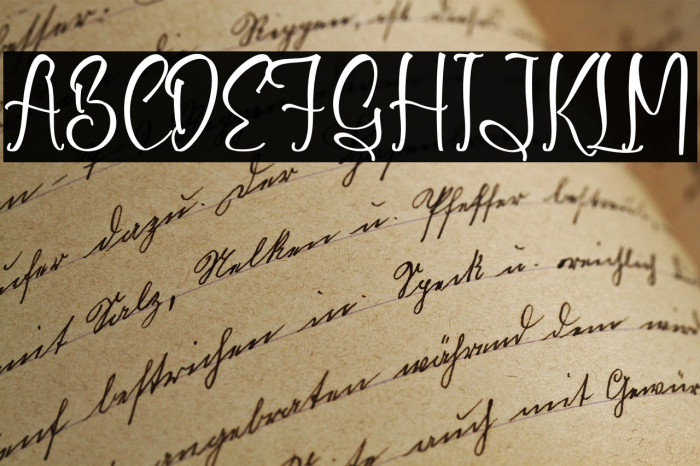 Shirlley Gilberta Example 3