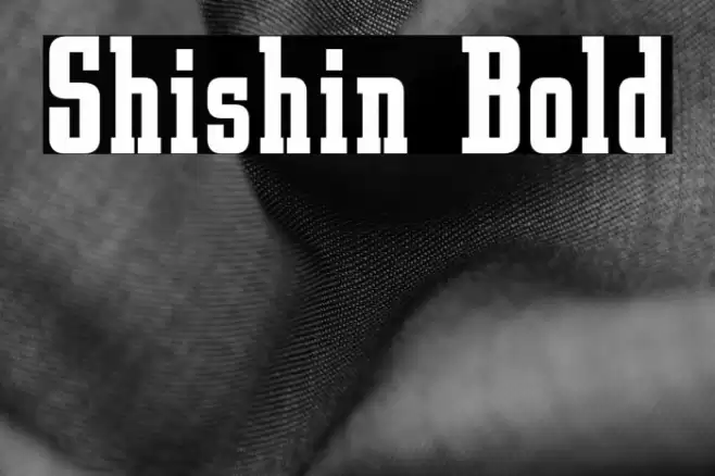 Shishin Bold Font examples