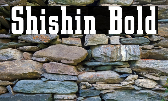 Shishin Bold Example 2