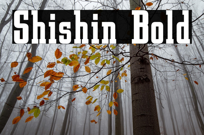 Shishin Bold Example 3