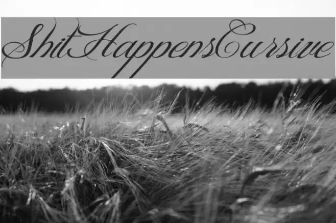 ShitHappens-Cursive Font examples