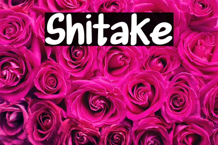 Shitake Fonte examples