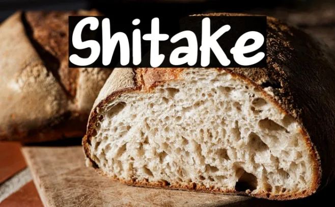 Shitake Example 3