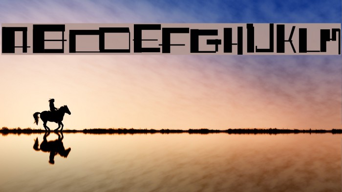 Shitfont Font examples