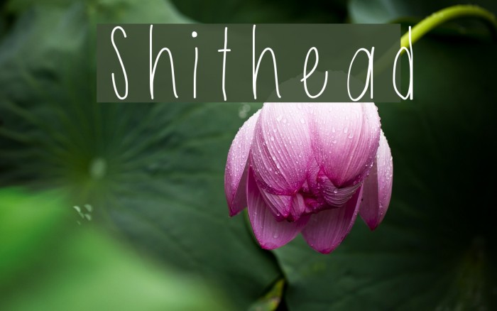 Shithead Font examples