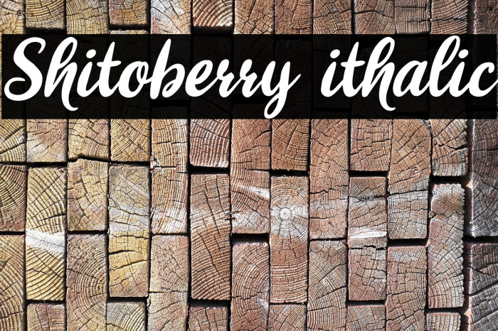 Shitoberry ithalic Font examples