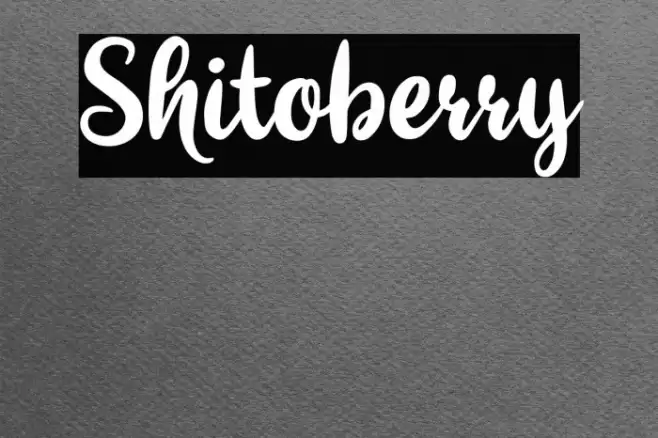 Shitoberry Font examples
