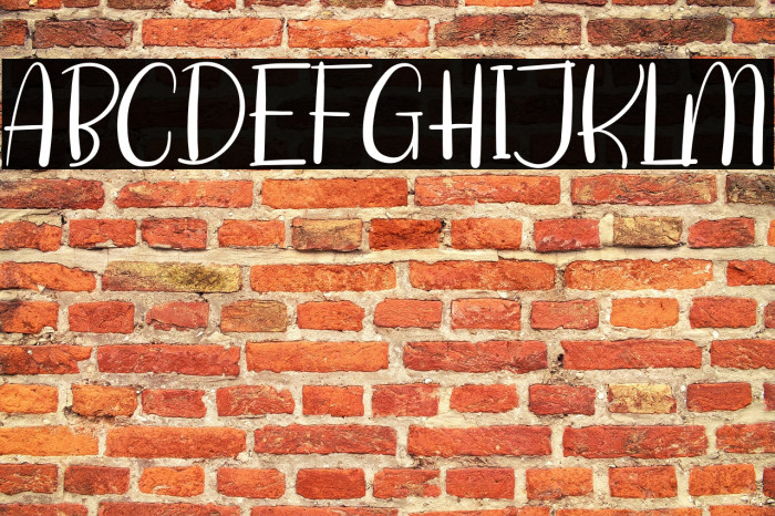 Shitti Beauty Example 2