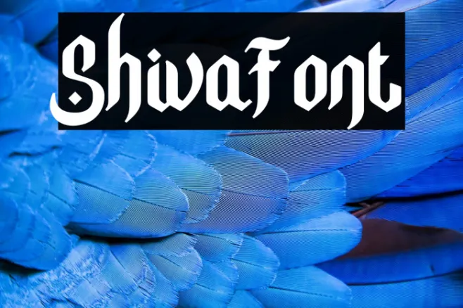 Shiva Example 1