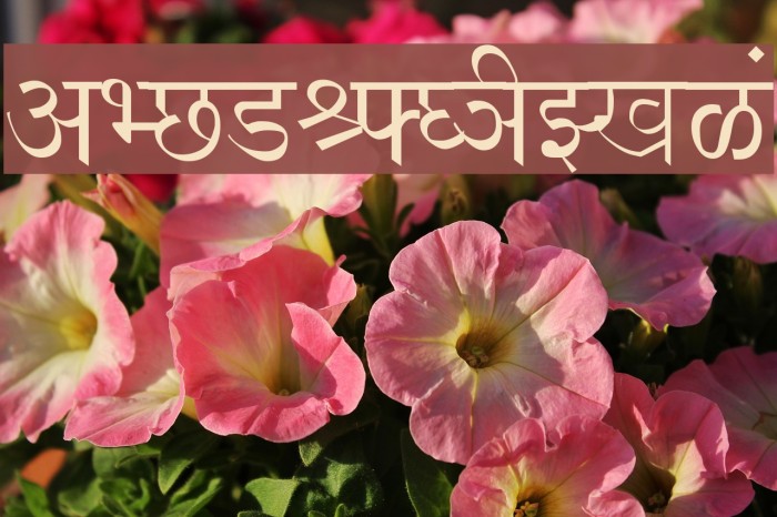 Shivaji01 Font examples