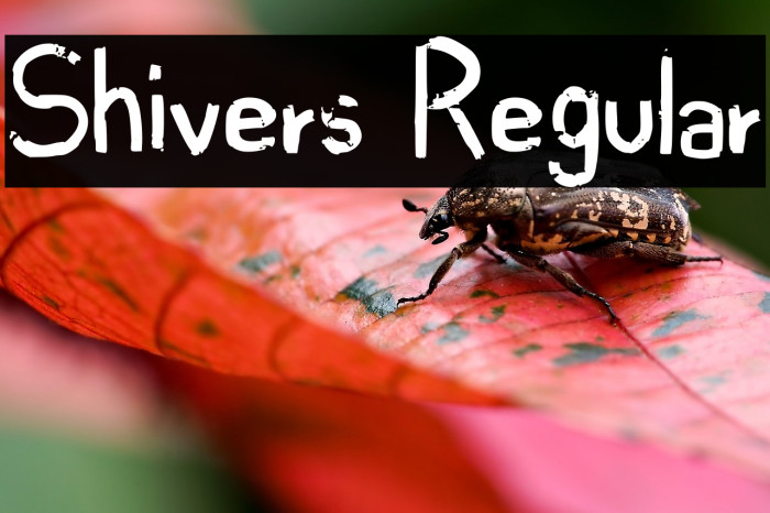 Shivers Regular Example 1