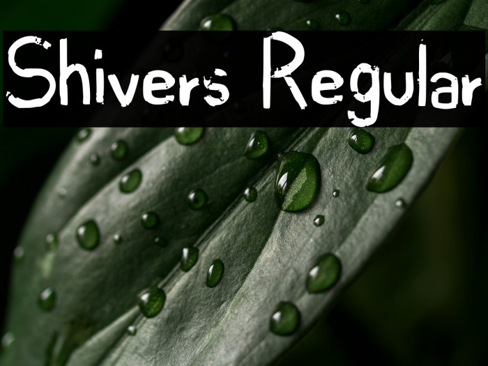 Shivers Regular Example 3