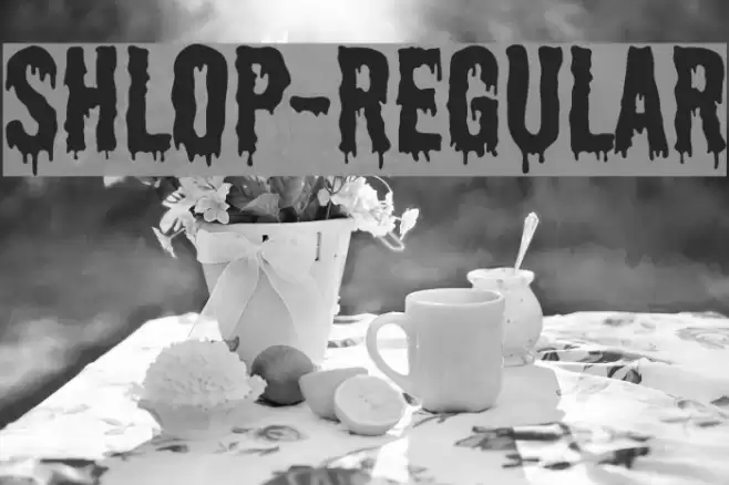 Shlop-Regular Font examples