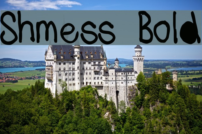 Shmess Bold Font examples